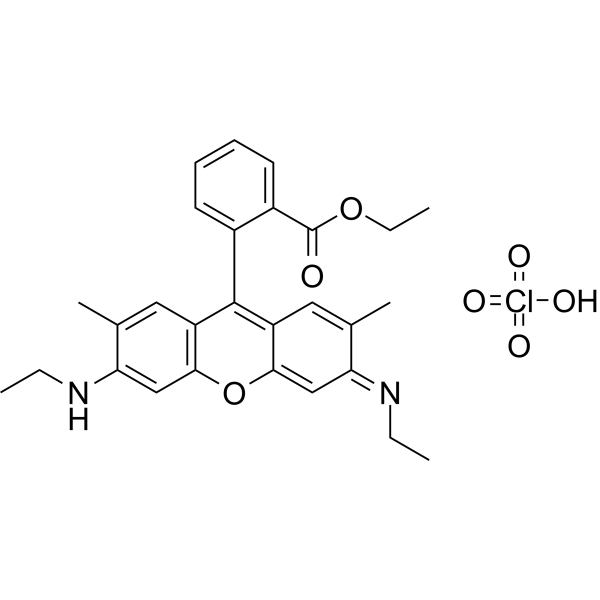 Rhodamine 6G perchlorate (Rhodamine 6G perchlorate) 13161-28-9